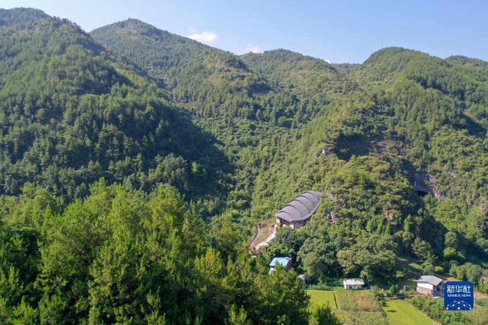 打鱼提现的游戏